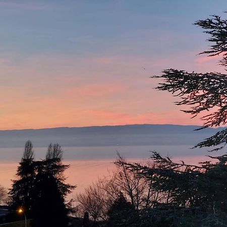 Le Mirabeau Vue Lac 에비앙레스벵즈 외부 사진