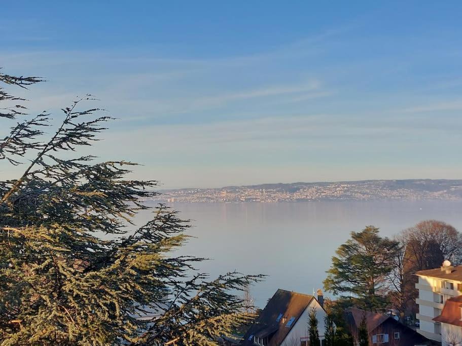 Le Mirabeau Vue Lac 에비앙레스벵즈 외부 사진